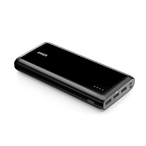Best High Capacity 3 Port Power Bank with PowerIQ Tech for Smartphones what power bank to buy