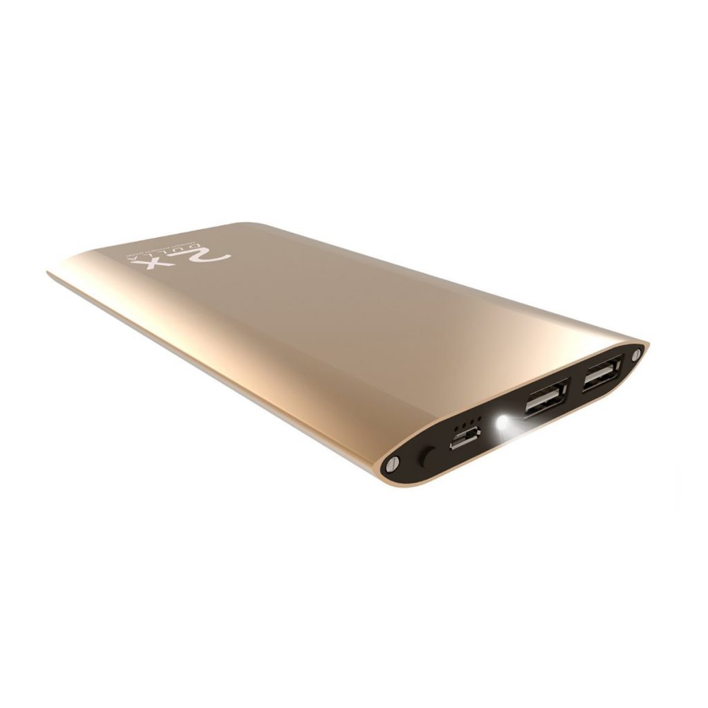 Portable & Slim Power Bank for Smartphones & Tablets with 2 USB ports what power bank to buy