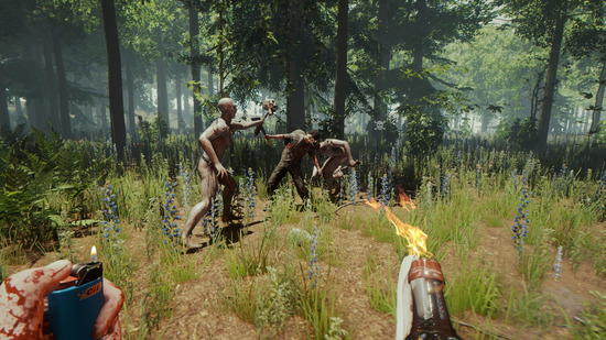 Why The Forest Doesn't Support Cross-Platform