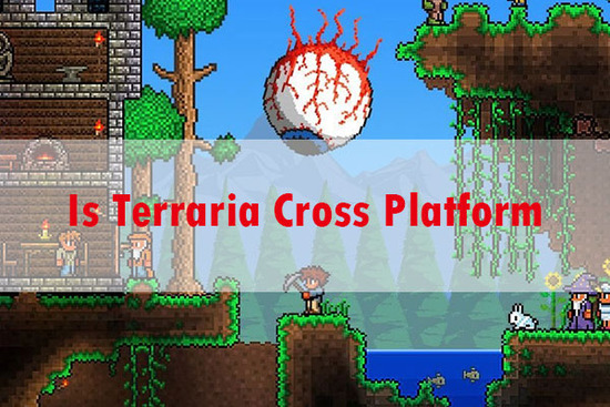 Why Terraria Cross Doesn’t Support Cross-Platform