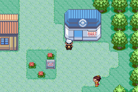 Improve My Gameplay In Pokemon Ruby and Sapphire